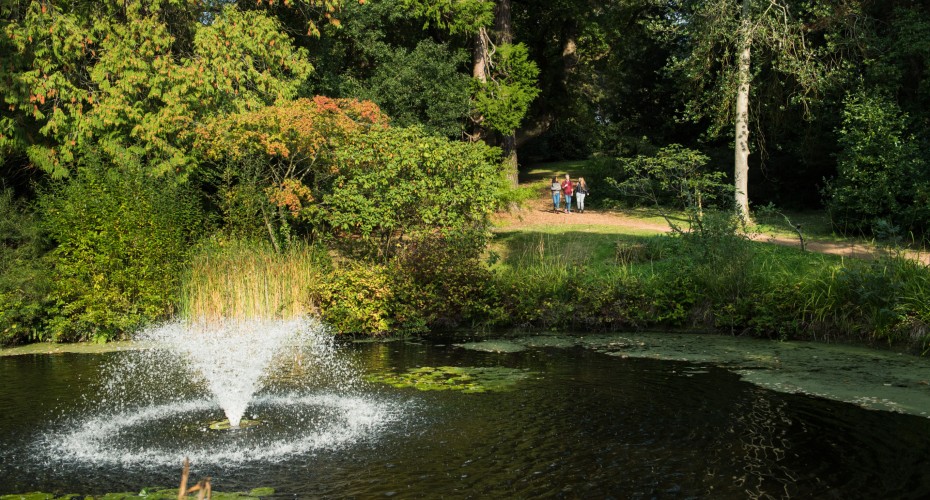 2021 Fountain image